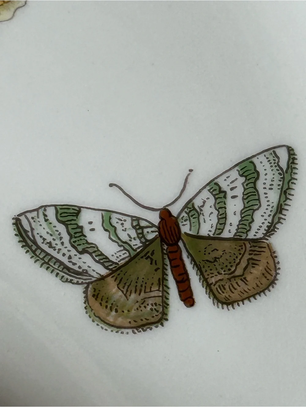 4 PORTMEIRON BOTANIC GARDEN Crescent Salad Plate Floral Butterflies Leaf Rim